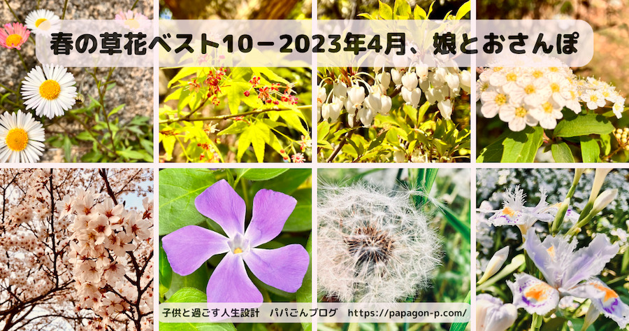 春の草花ベスト10–2023年4月、娘とおさんぽ